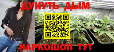 крисы Волжский