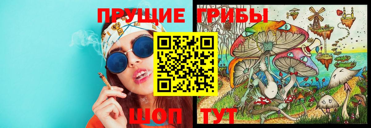 Псилоцибиновые грибы Magic Shrooms  Вход с VPN  Галлюциногенные грибы мухоморы  где найти наркотики  Осинники 
